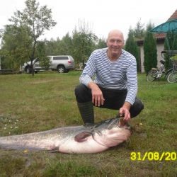 Гомельчанин выловил сома размером с человека (фото)
