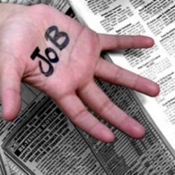 15 февраля перспективные студенты могут найти работу 