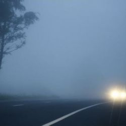 ГАИ предупреждает водителей о тумане на дорогах