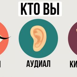 Визуалы, аудиалы и кинестетики: как их отличить и как с ними общаться