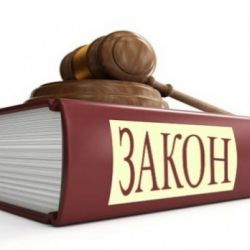 Не резиновый: За нарушение законов иностранцев депортируют из области