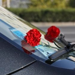 18 и 20 ноября в Гомеле почтут память жертв ДТП