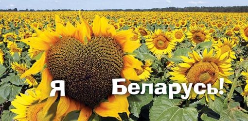БЕЛТА показала новые плакаты с сердечками «Я люблю Беларусь»