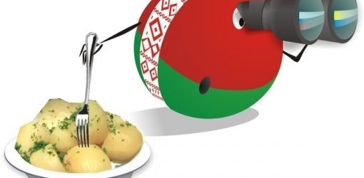 Польский инженер изобрел робота-беспилотника из картошки