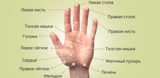 Какие акупунктурные точки нужно знать всем?