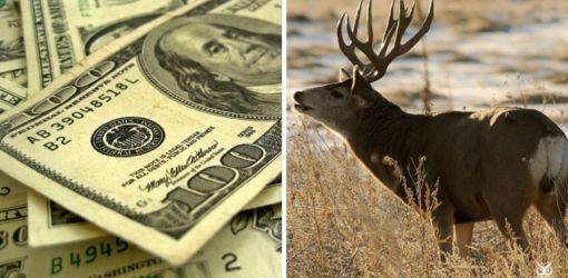 Почему доллар называют «баксом» и при чём тут олени?