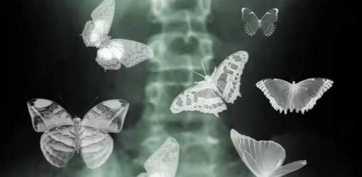 Откуда появляются «бабочки в животе»?