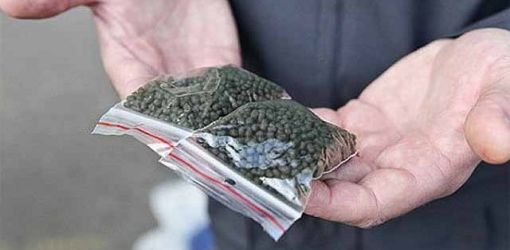 В Жлобине изъяли более килограмма насвая