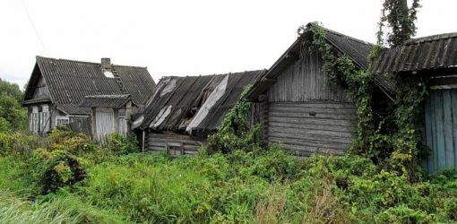 В Беларуси московский бизнесмен возрождает заброшенную деревню