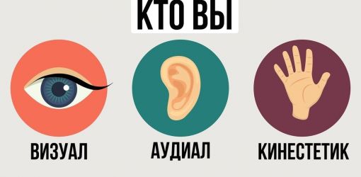 Визуалы, аудиалы и кинестетики: как их отличить и как с ними общаться